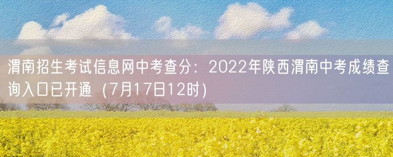 渭南招生考试信息网中考查分：2022年陕西渭南中考成绩查询入口已开通（7月17日12时）